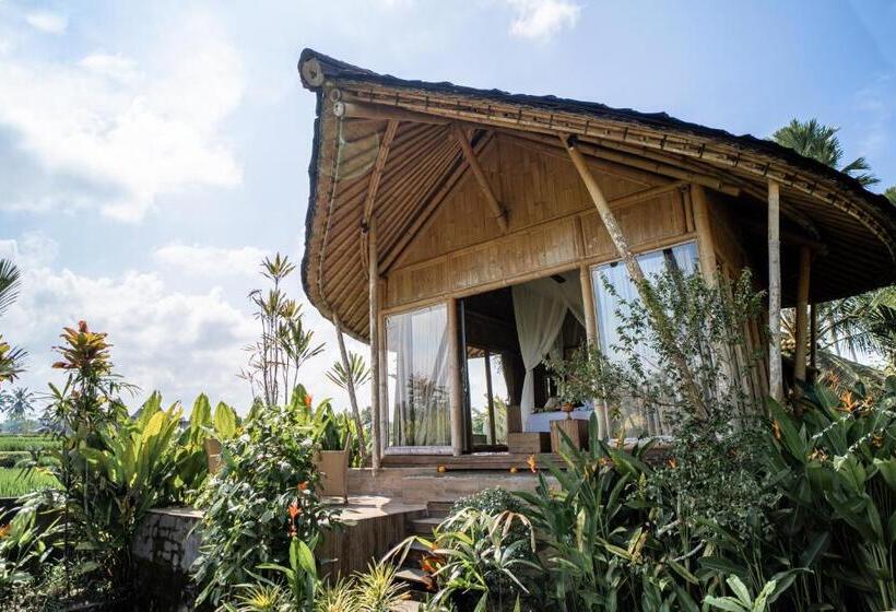 민박 Padi Bali Retreat