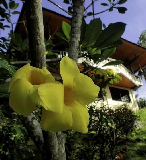 فندق فئة نجمة واحدة Tangkoko Sanctuary Villa