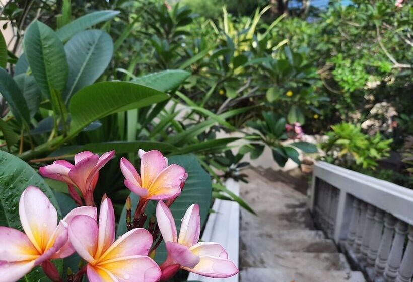 فندق فئة نجمة واحدة Tangkoko Sanctuary Villa
