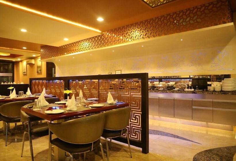 Отель Patang Residency