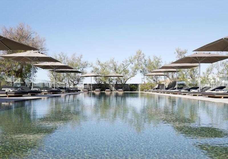 فندق Plage Palace & Spa