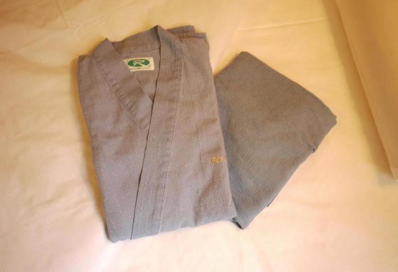 בית מלון כפרי Route Inn Mooka