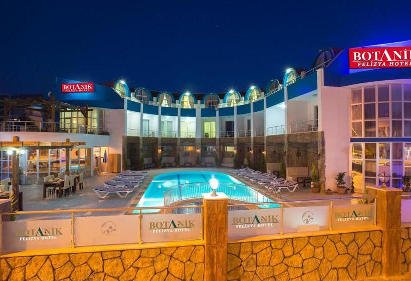 Fotos del hotel Elamir Felizya:  2