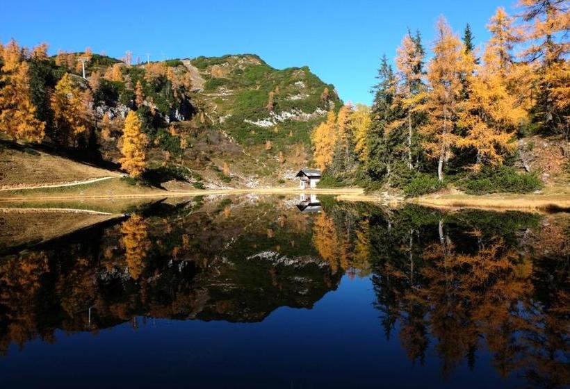 Fotos del hotel Kollerhof:  11