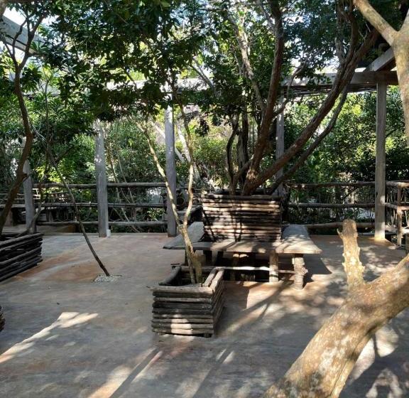 Fotos del hotel Roc Jungle Tulum:  6