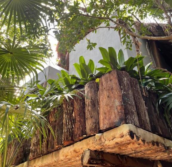 Fotos del hotel Roc Jungle Tulum:  9