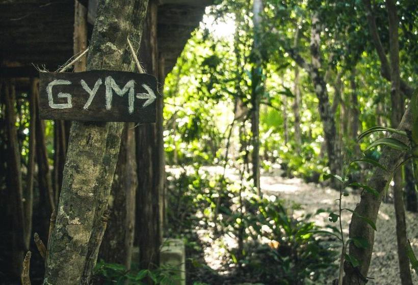 Fotos del hotel Roc Jungle Tulum:  7