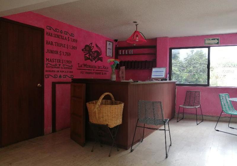 Fotos del hotel La Morada Del Xolo By Oyo Rooms:  4