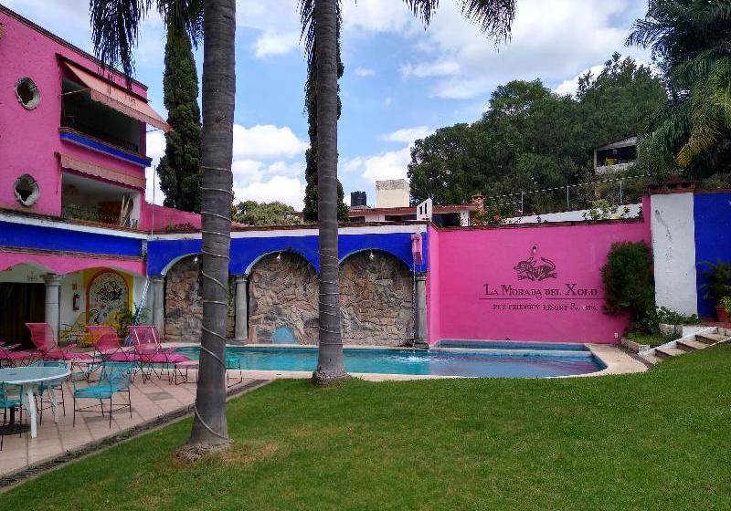 Fotos del hotel La Morada Del Xolo By Oyo Rooms:  11