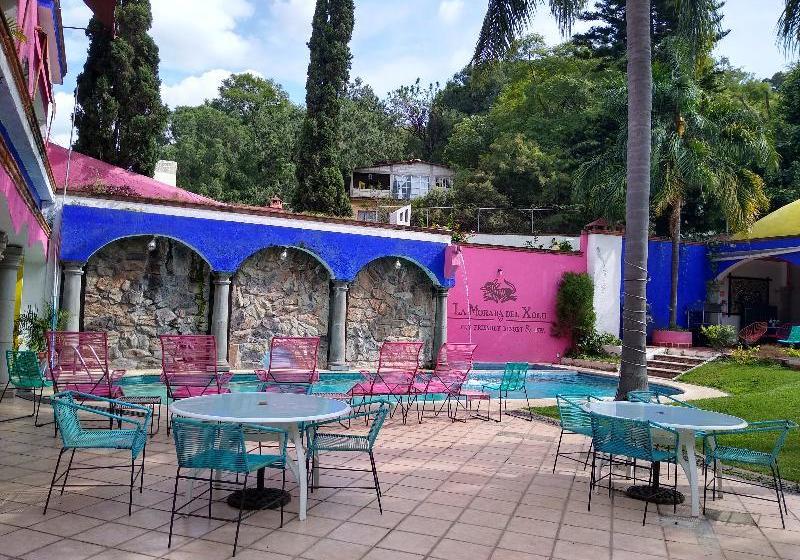 Fotos del hotel La Morada Del Xolo By Oyo Rooms:  14