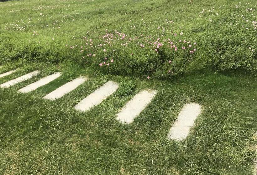 Fotos del hotel Grand Mercure Zhengzhou West:  18