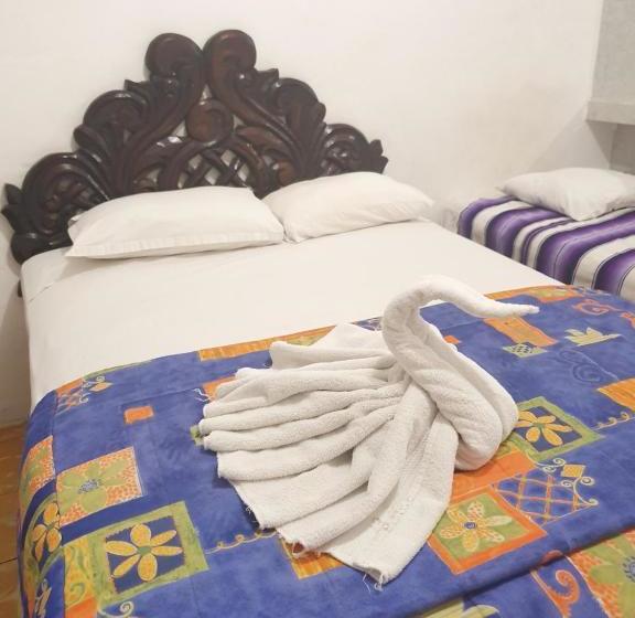 Fotos del hotel Colonial San Carlos:  14