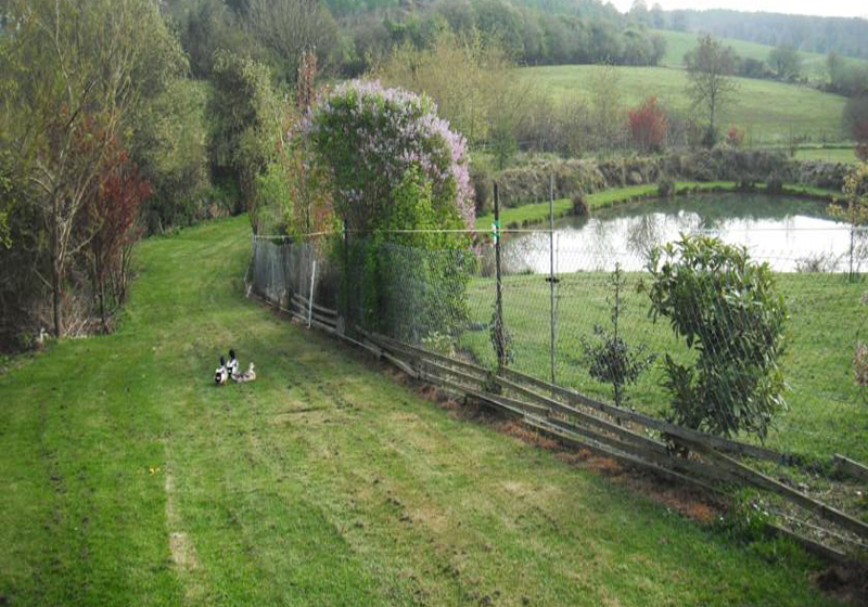 Fotos del hotel Dawn House B&b:  7