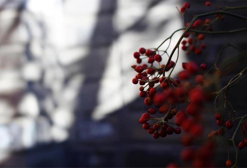 Fotos del hotel Oriental Beauty:  5