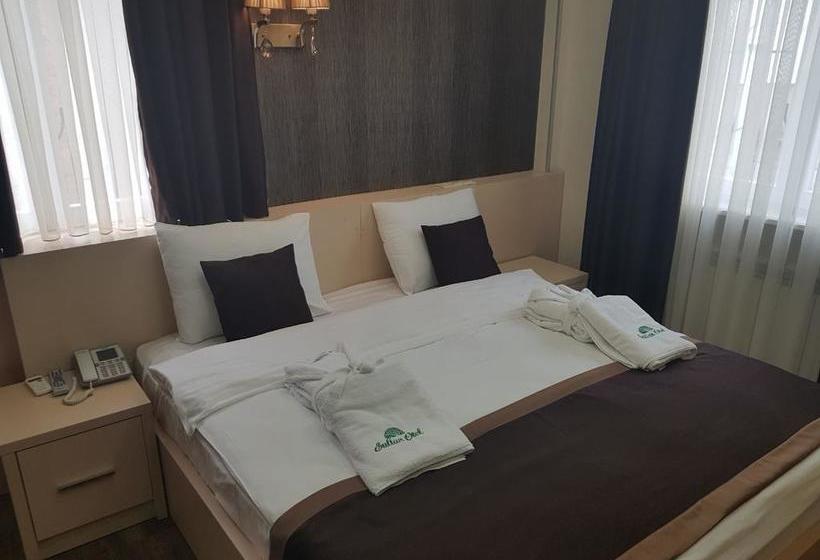 Fotos del hotel Sultan:  7