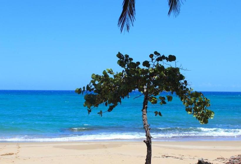 Fotos del hotel Sea Horse Ranch:  4