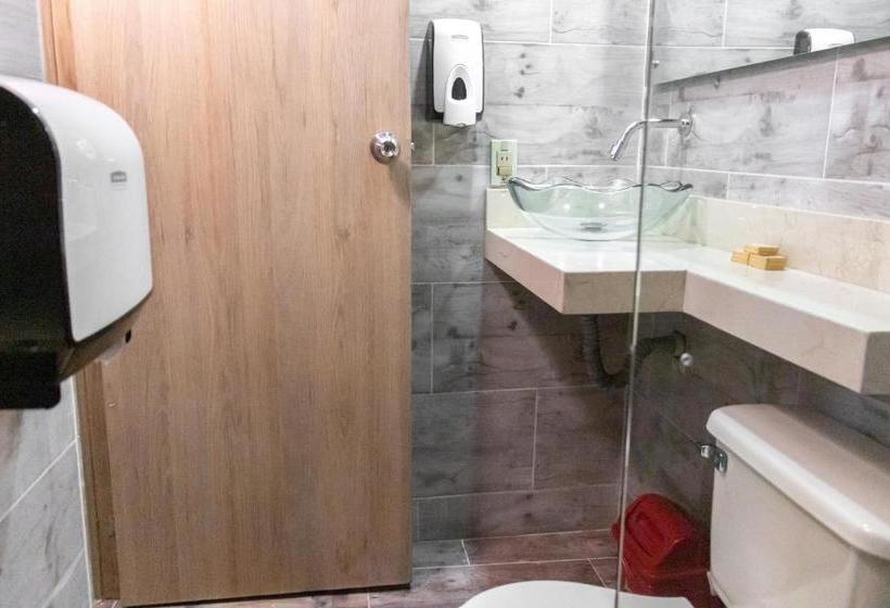 Fotos del hotel Plaza Imperial:  18