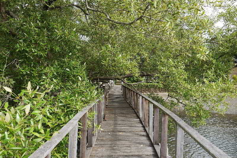 Fotos del hotel Akanak Resort:  5