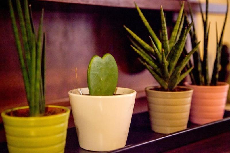 Fotos del hotel Maison La Nunziatina:  8