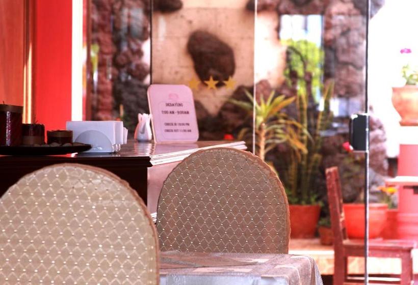 Fotos del hotel Diplomat S:  18