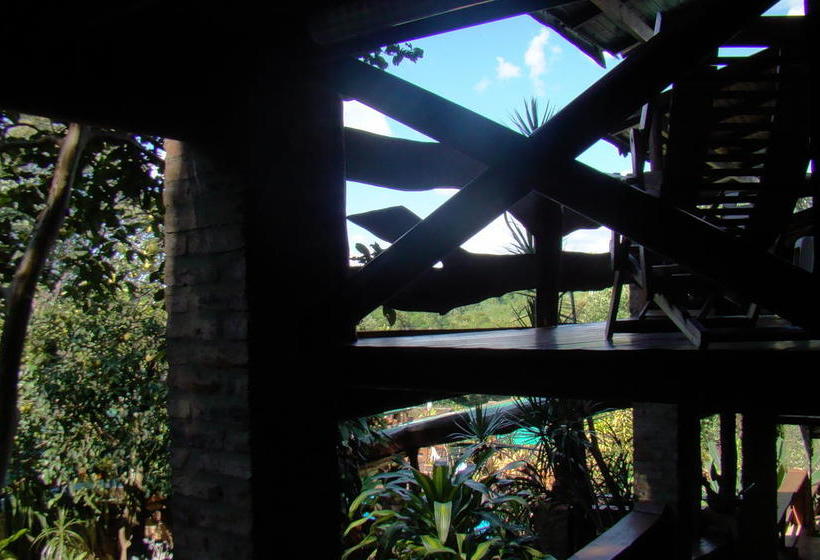 Fotos del hotel Jasy:  7