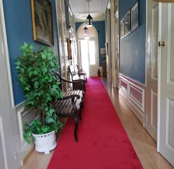 Fotos del hotel Central Guest House:  2