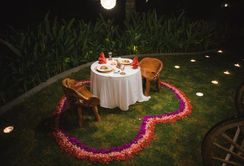 Fotos del hotel Regali Villa:  10