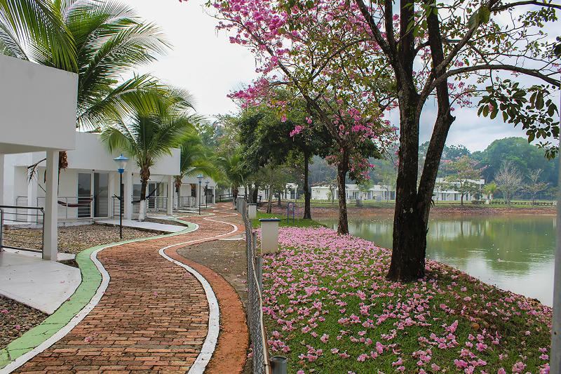 Fotos del hotel On Vacation Hacienda Llanera:  4