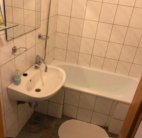 Fotos del hotel Sashalom:  6