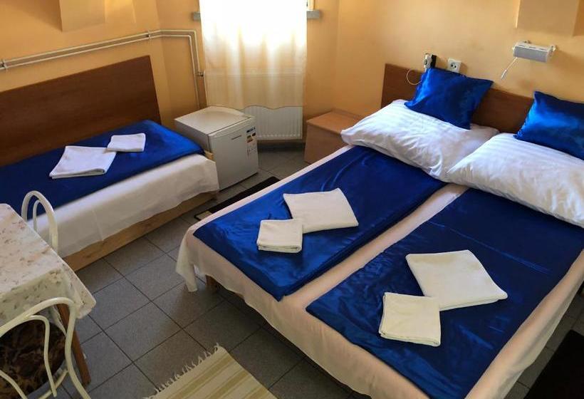 Fotos del hotel Sashalom:  8