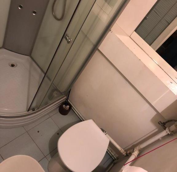 Fotos del hotel Sashalom:  13