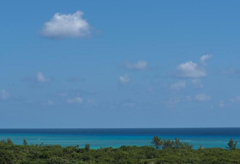 Fotos del hotel Portea  Playa Del Carmen 5th Ave Midtown:  9