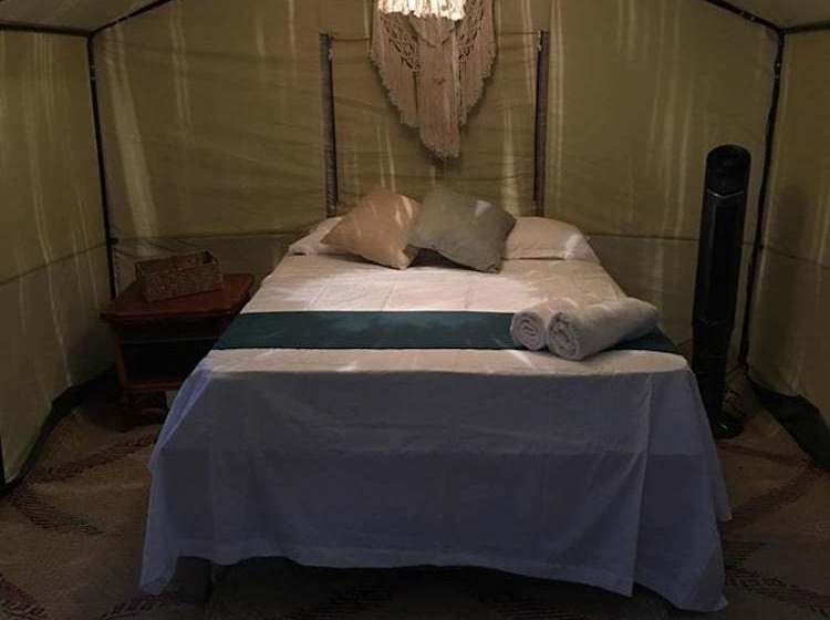 Fotos del hotel Uma Tulum Oceanfront:  7