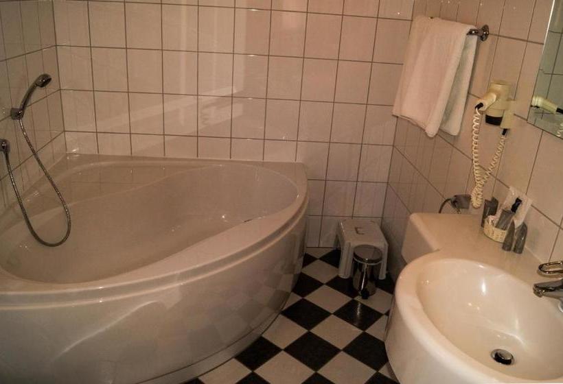 Fotos del hotel Rebmann:  6