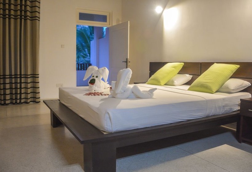 Fotos del hotel Calluna  Tangalle:  2