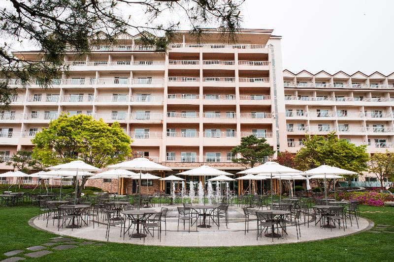 Fotos del hotel Daemyung Resort Yangpyung:  9