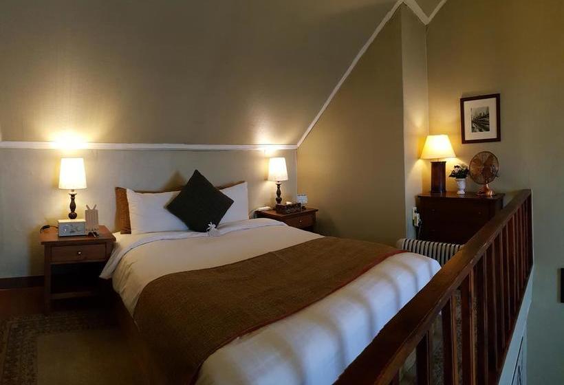 Fotos del hotel November:  14