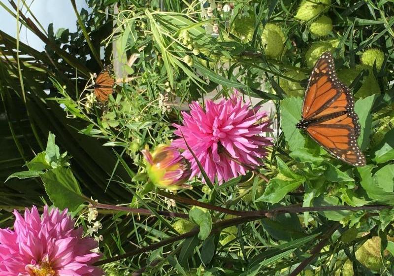 Fotos del hotel Heartsong Retreat:  4