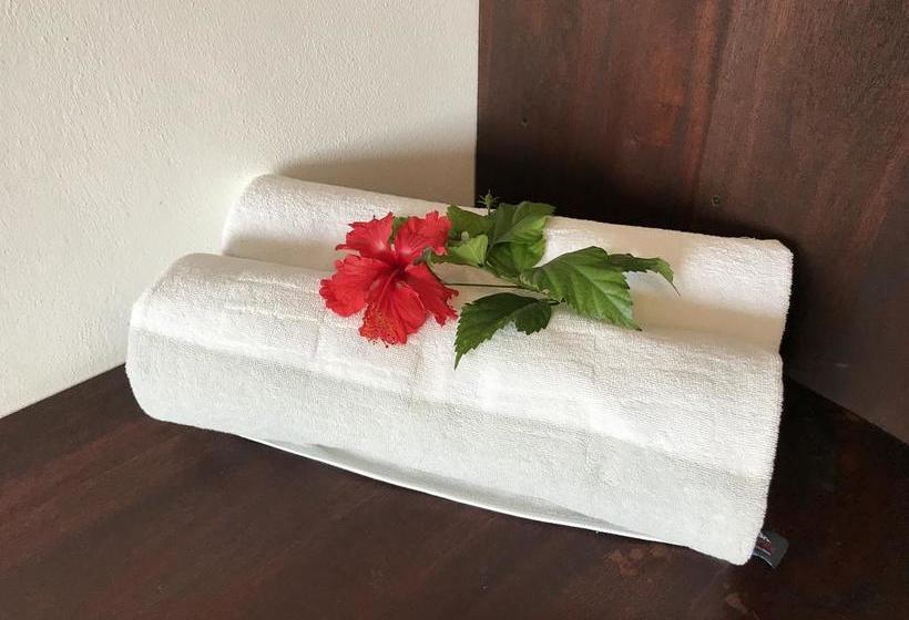 Fotos del hotel Casa Santiago Tulum:  14