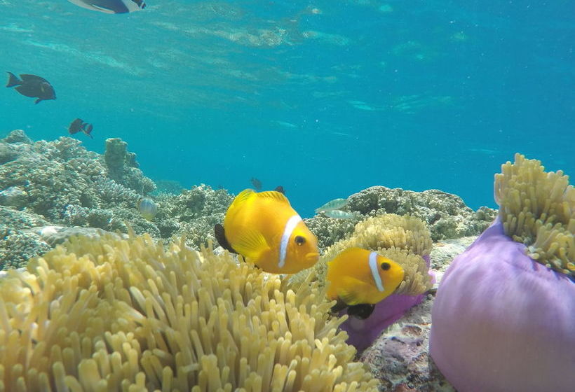 Fotos del hotel Relax Beach Inn:  10