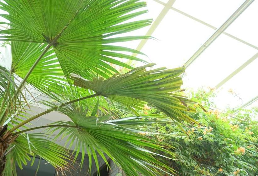 Fotos del hotel Garden Inn Beijing:  6