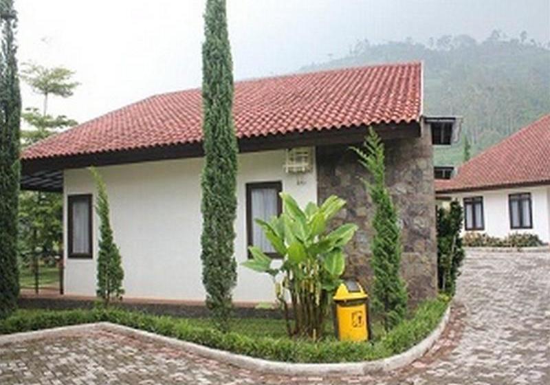 Fotos del hotel Mountain Springs Resort:  3