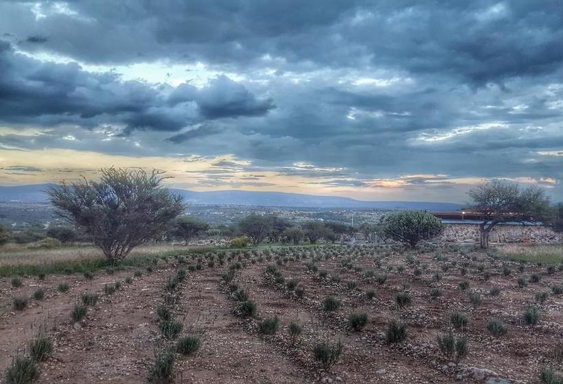 Fotos del hotel El Macehual:  8