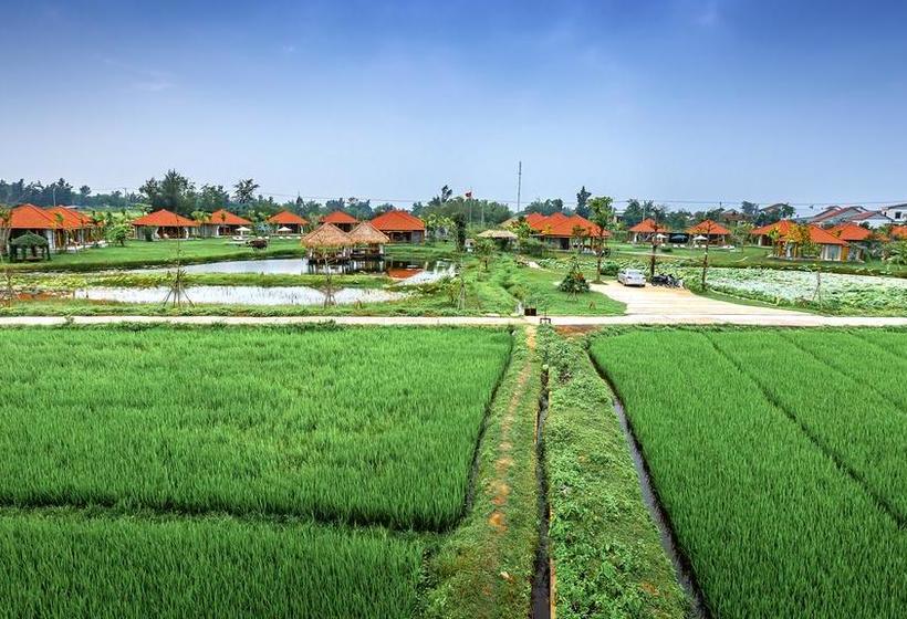 Fotos del hotel Allamanda Estate:  3