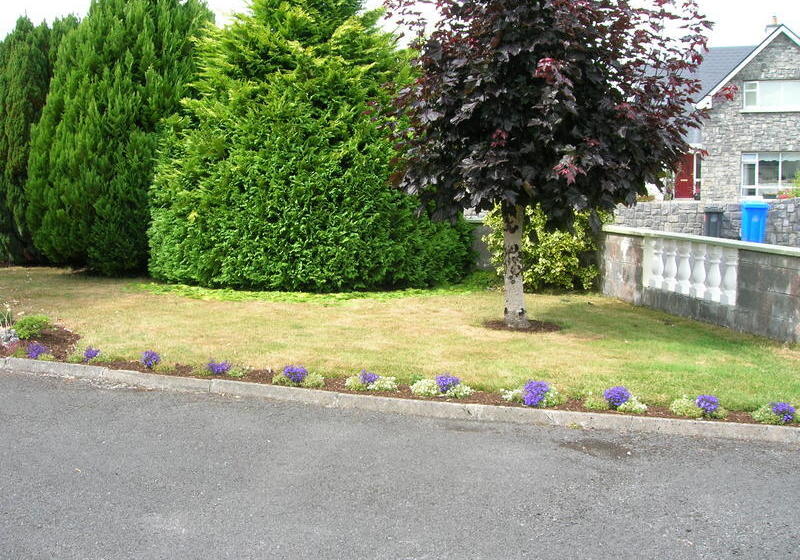 Fotos del hotel Clareville B&b:  9