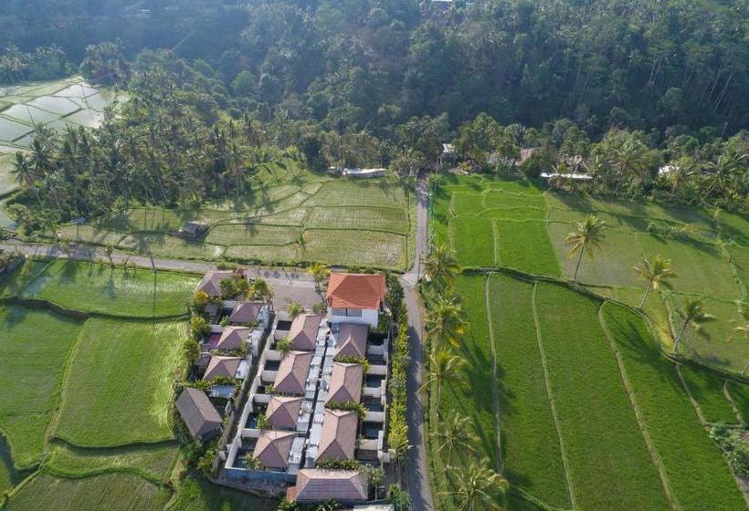 Fotos del hotel Amatara Abirama Villas:  6