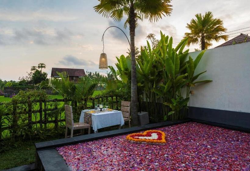 Fotos del hotel Amatara Abirama Villas:  7