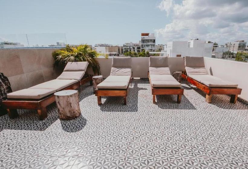 Fotos del hotel Kalma Casa Mora:  4