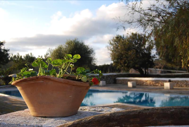 Fotos del hotel Agroturismo Biniati Des Pi:  4