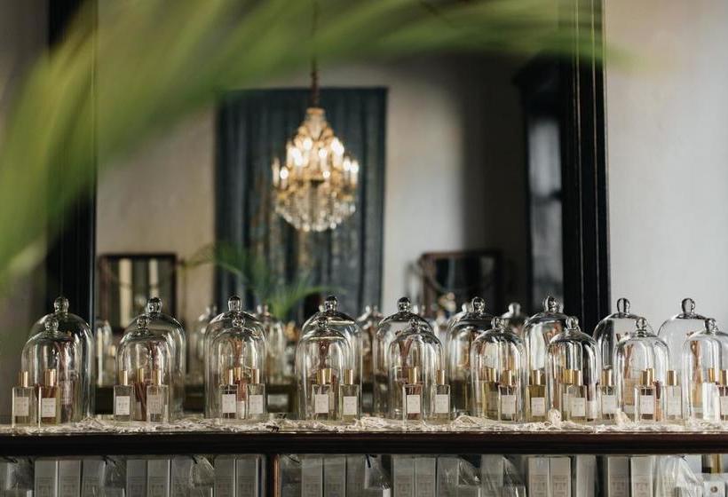 Fotos del hotel Coqui Coqui Merida:  9